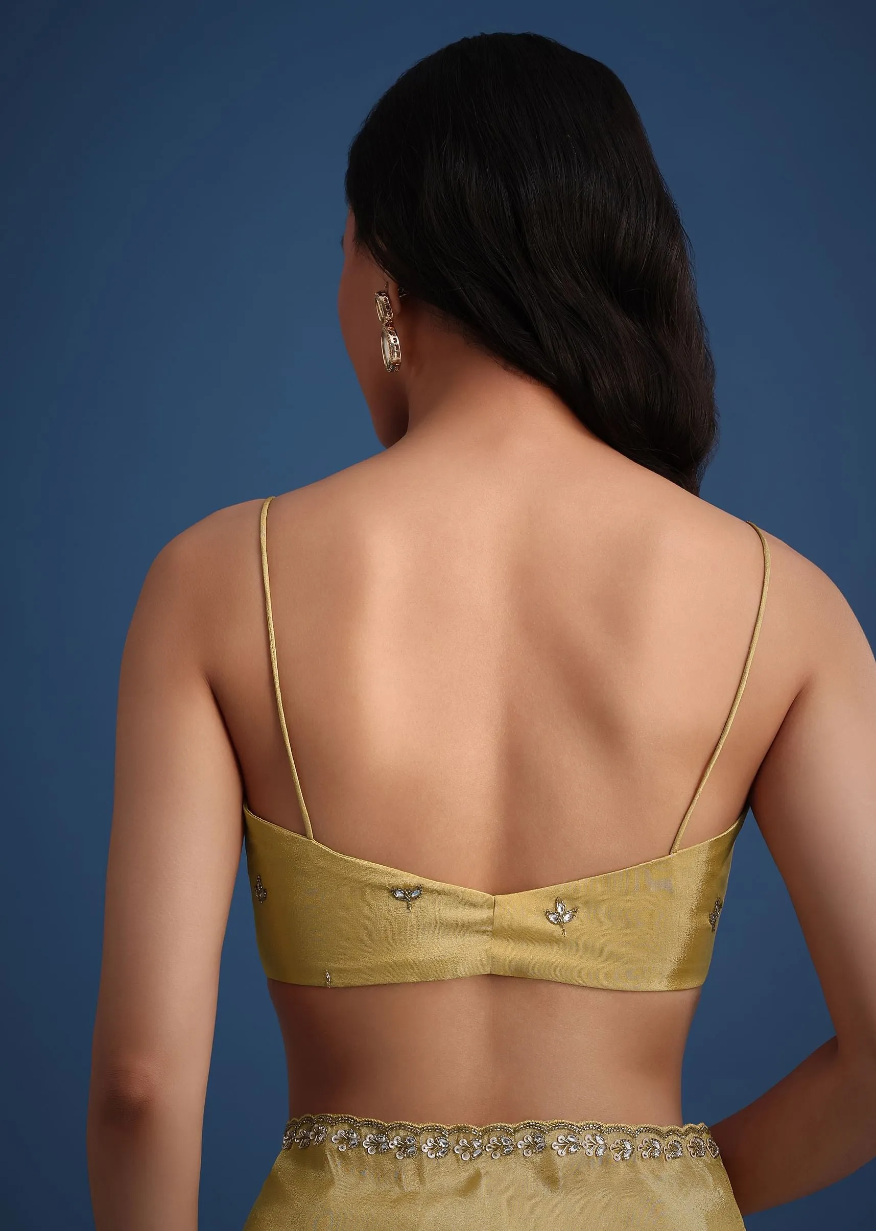 Gold Tissue Saree With Cutdana Embellished Border
