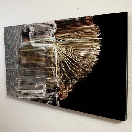 Suspended Motion Series I: III - 14x24" print