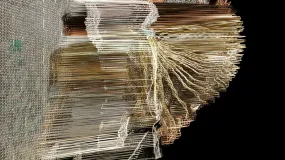 Suspended Motion Series I: III - 14x24" print