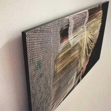 Suspended Motion Series I: III - 14x24" print
